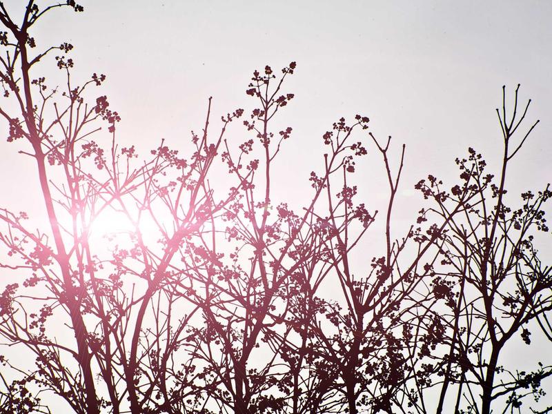 sudoku solution check screenshot 5