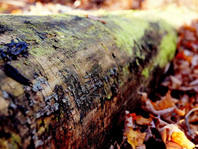 sudoku puzzle game screenshot 5